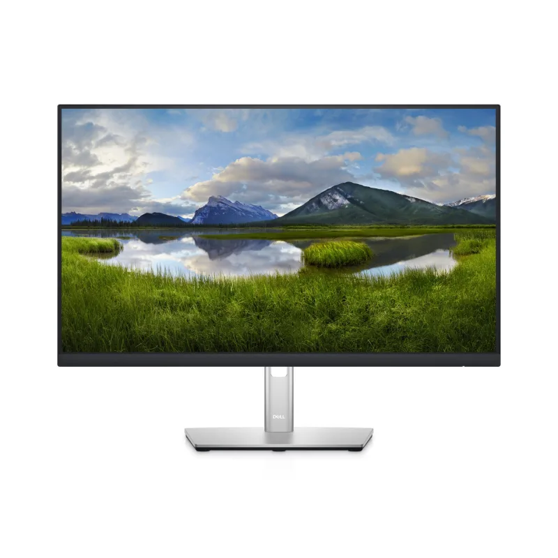 DELL P Series P2422HE computer monitor 60.5 cm (23.8") 1920 x 108