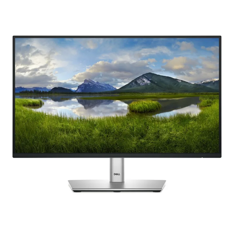 Dell P2225H 21.5 IPS Full HD 100Hz USB-C Monitor