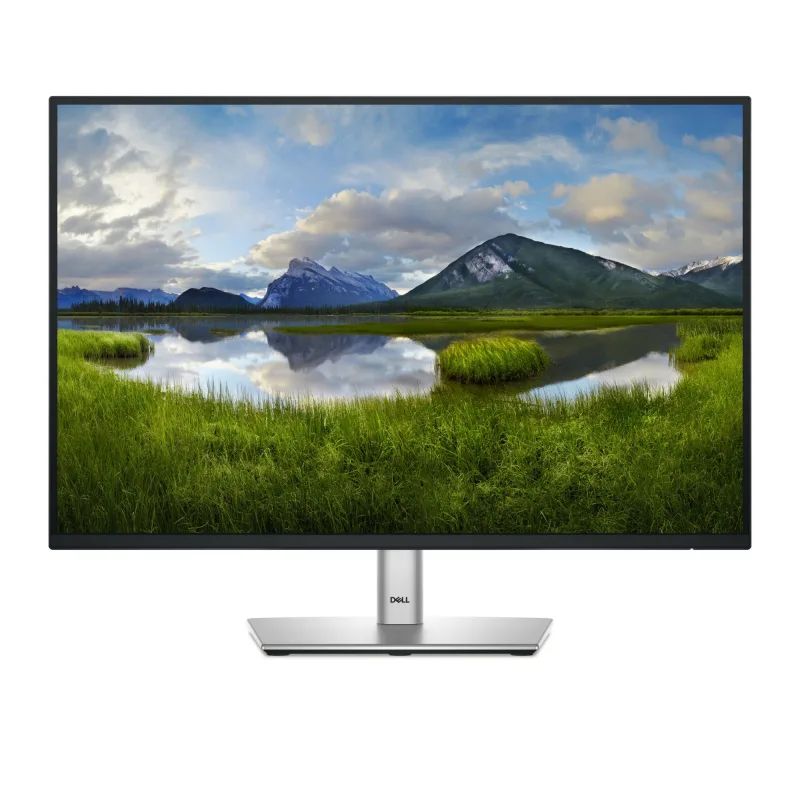 Dell P2425 24 IPS WUXGA 100Hz USB-C Monitor