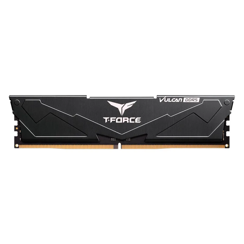 Team Group FLBD516G6000HC38A01 memory module 16 GB 1 x 16 GB DDR5 288-